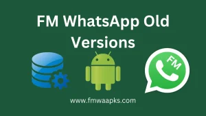 FM WhatsApp old version download