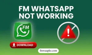 FM WhatsApp not working error screen on Android smartphone