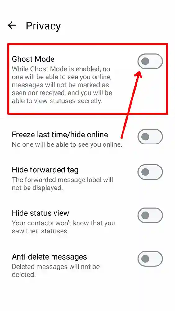 FM WhatsApp Ghost Mode 2.0